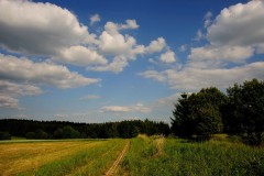 20100626-BBG-Coburg-168_JPG