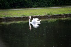 20120713Muenchen_Nymphenburg_004_JPG