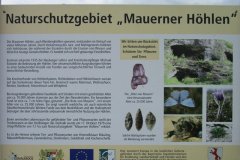 2014-07-05-Neuburg-0128
