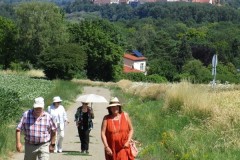 2014-07-06-Neuburg-0163