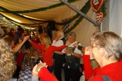 2015-10-15-Oktoberfest-Bruessel-476