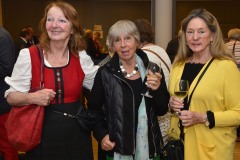 20170518-Bruessel-Botschaft-BBG-DBG-Buchvorstellung-099