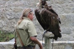 2018-09-08-Falkenhof_6583_EW