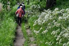 IMG-20210520-WA0015